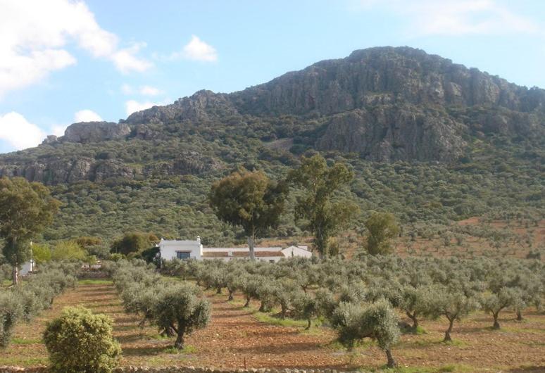 Casa Rural Sierra De Mampar Hornachos Exterior foto